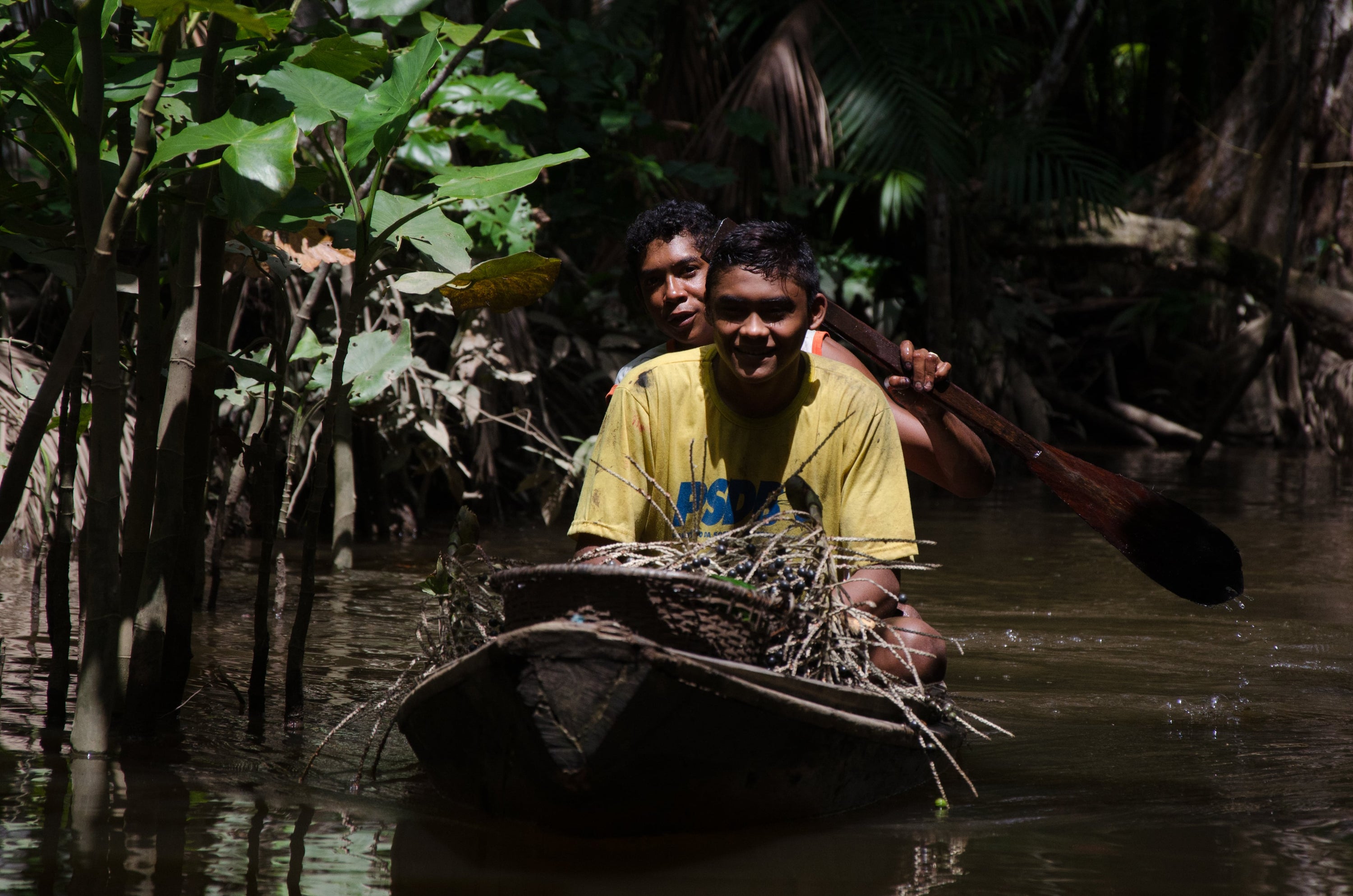 açai berry amazonia frozen açai pulp