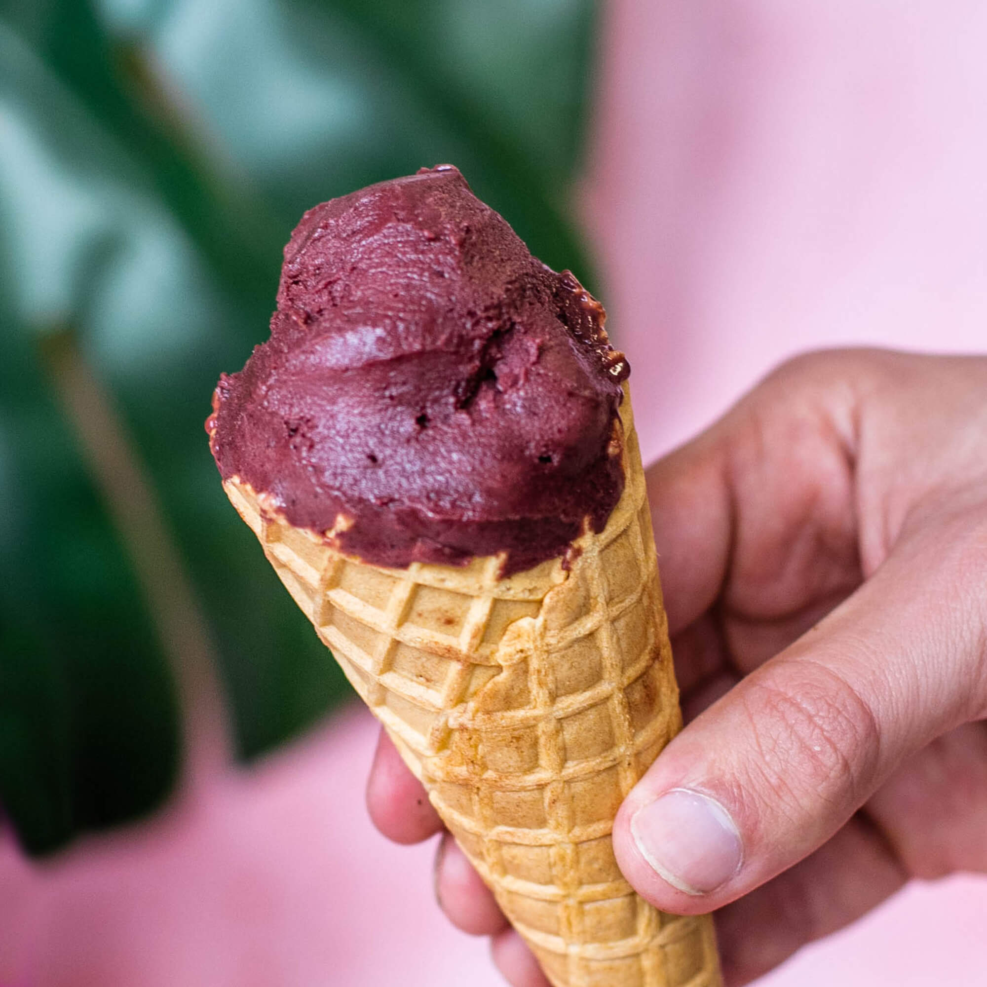 Sorbete de acai y guaraná tamaño pequeño