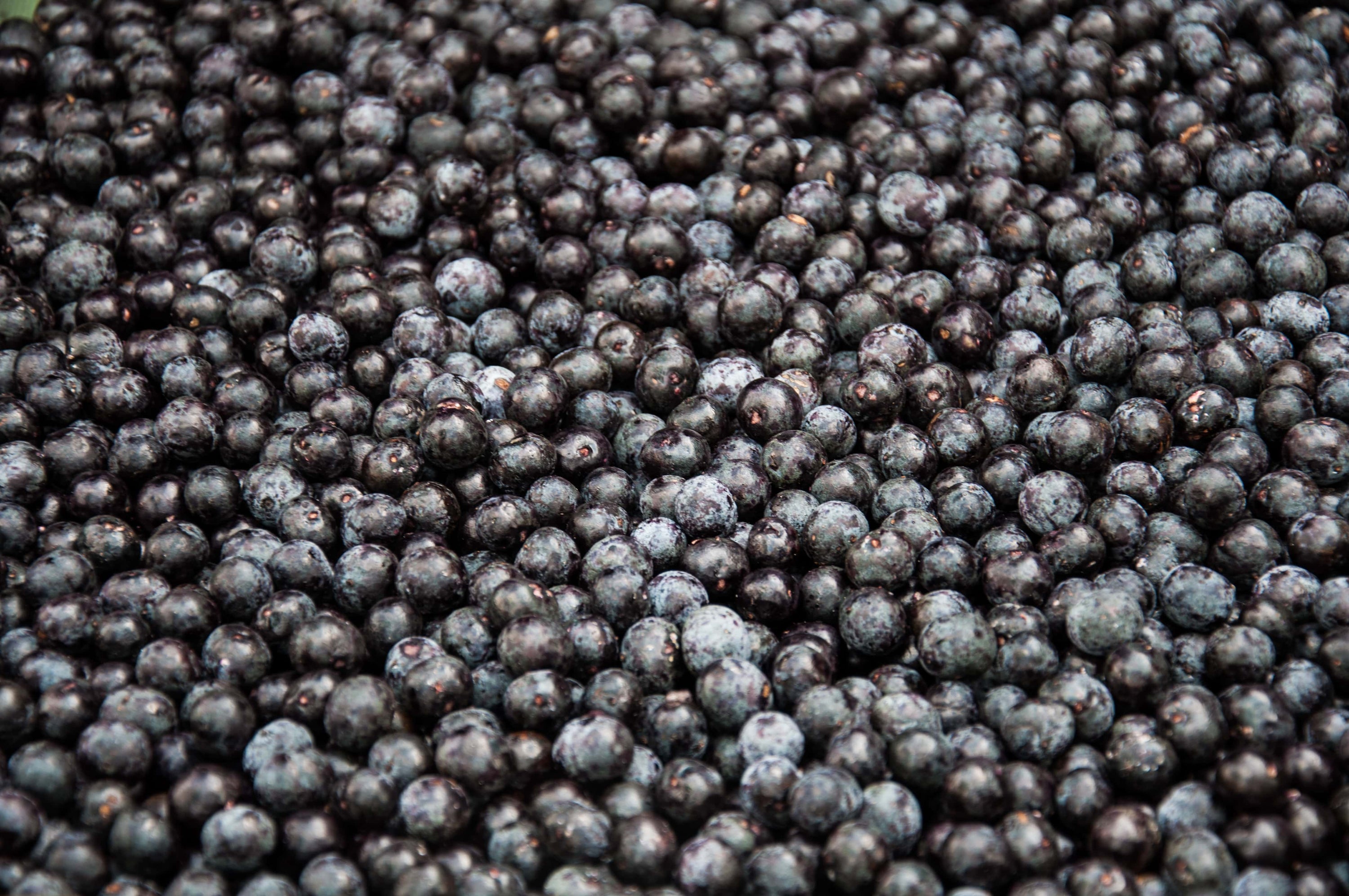 açai berry amazonia frozen açai pulp