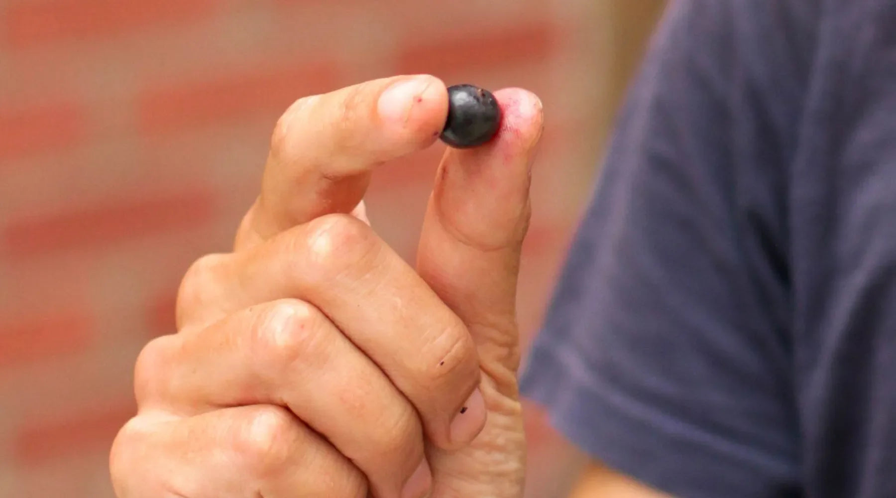 Damien tenant une baie d'acai