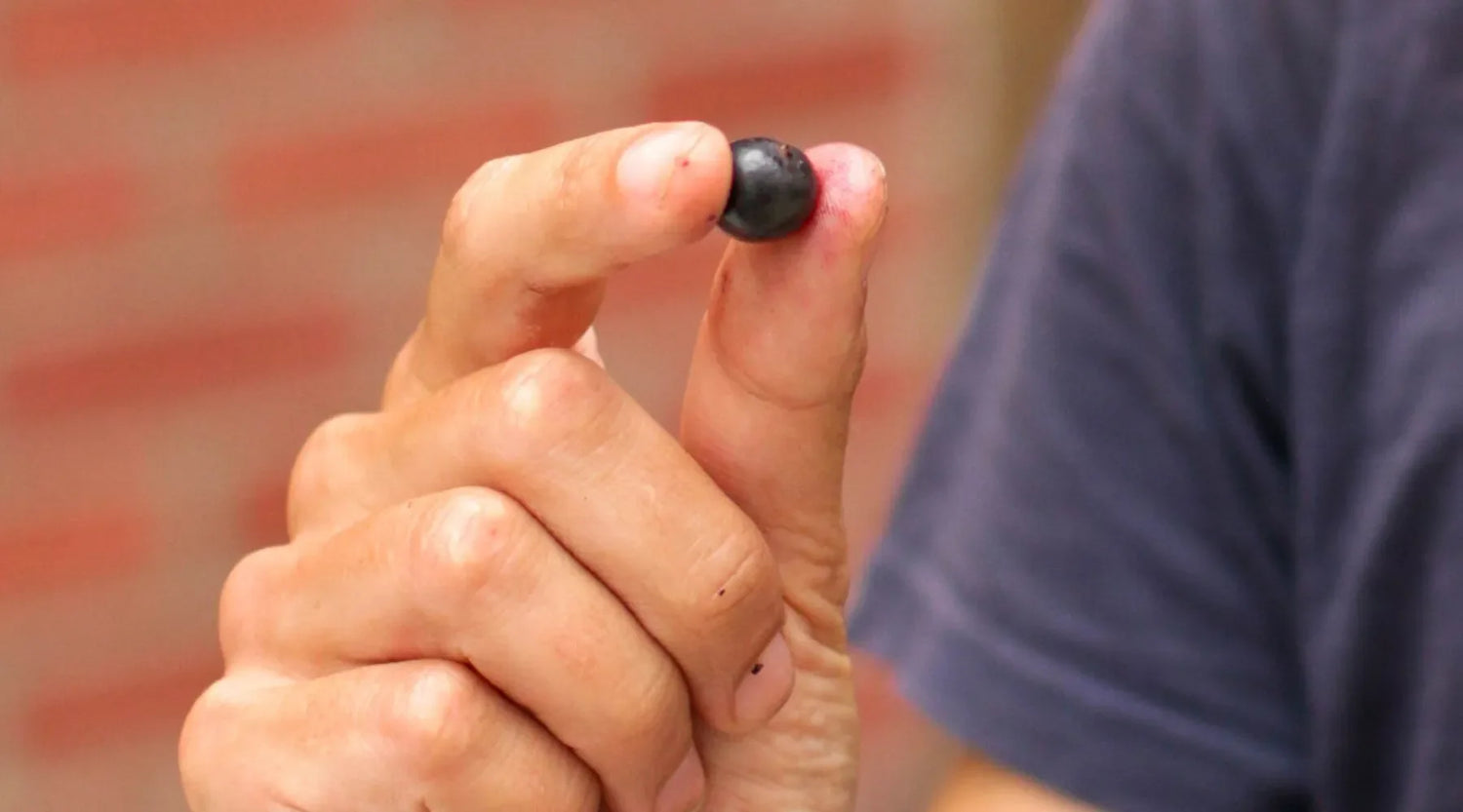 Damien tenant une baie d'acai