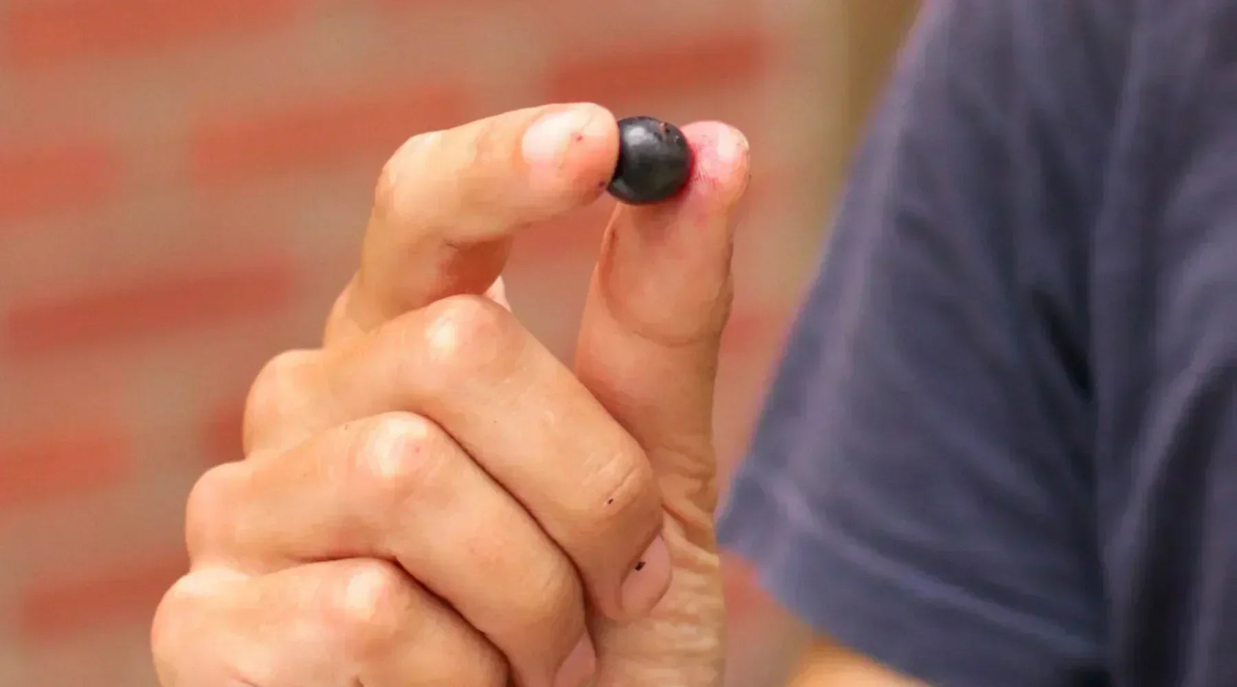 Damien tenant une baie d'acai