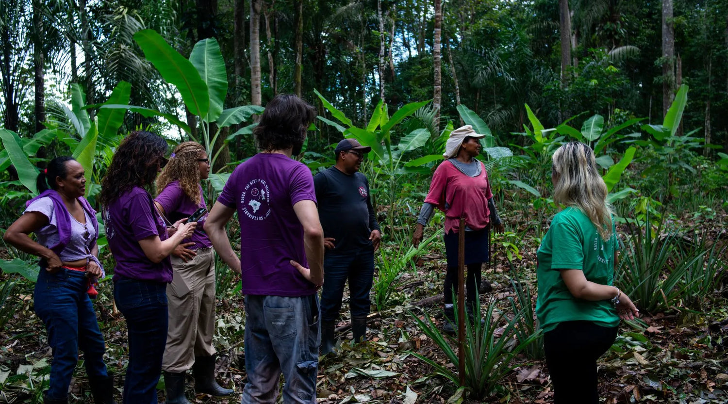 Filière d'acai : comment Nossa! travaille avec les producteurs d'Amazonie