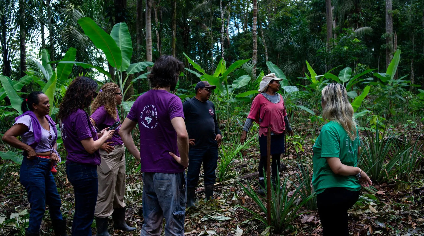 Filière d'acai : comment Nossa! travaille avec les producteurs d'Amazonie