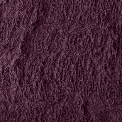Acai bio en poudre