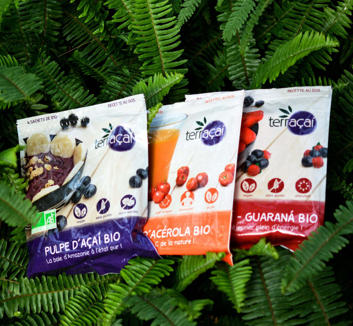<p><strong>Expansion et Innovations</strong></p><p>Nossa! connaît une expansion rapide en proposant de la pulpe surgelée en format industriel, ainsi que la marque Terraçai pour les magasins bio.</p>